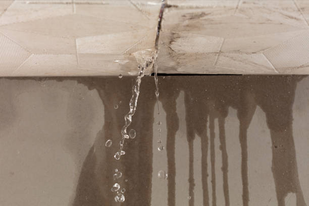 Professional Water Extraction technician working in Winthrop, MN